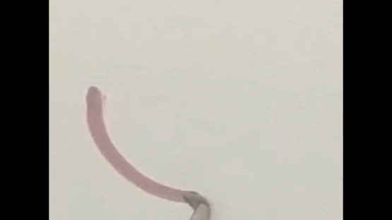 Floral Gutter Screenshot