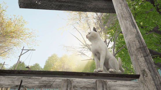 YetiParty Screenshot