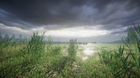 screenshot 23