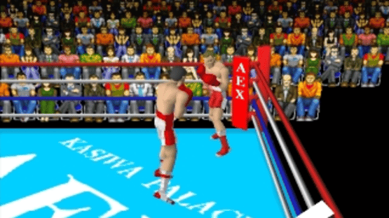 Boxer's Road Screenshot