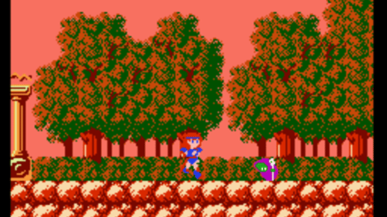 Memorial Series: Sunsoft vol. 3 Screenshot