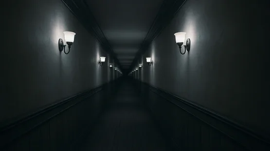 Shadowless screenshot 5