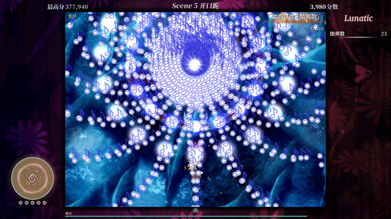 Touhou Iyuushou: What the Bullet Hell?! Screenshot