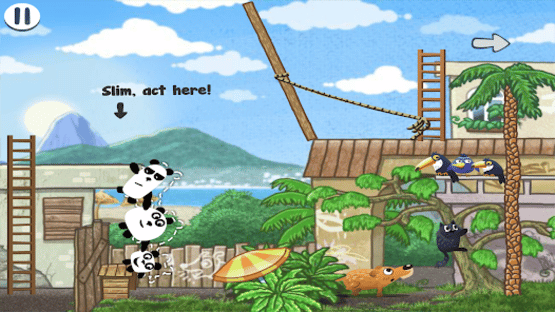 3 Pandas in Brazil Screenshot