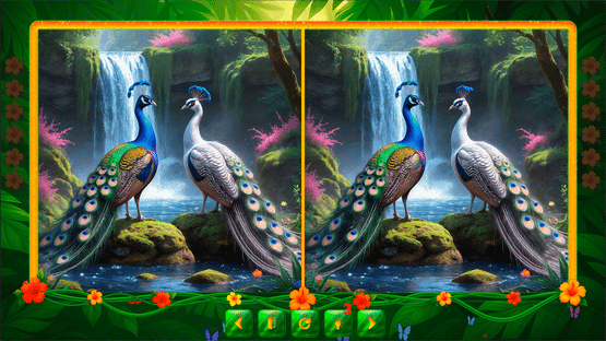BirdQuest Find the Difference Screenshot