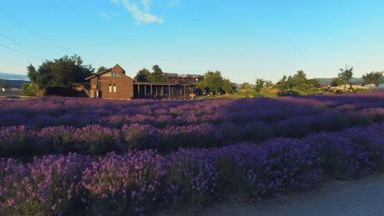 AnywhereVR Screenshot