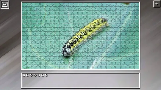 Thumbnail 29
