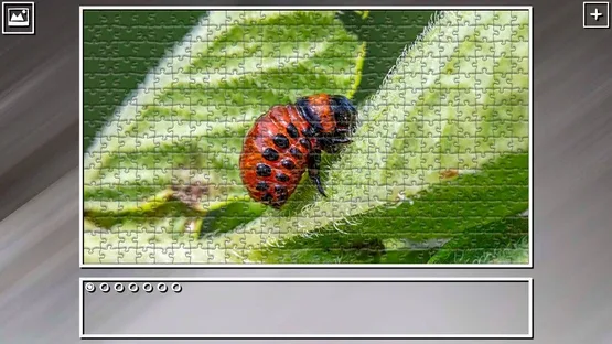 Thumbnail 27