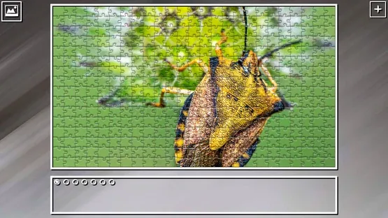 Thumbnail 14