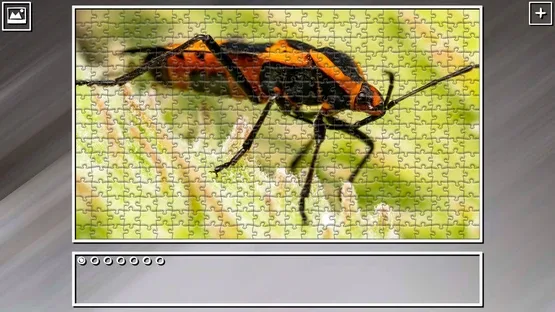 Thumbnail 18