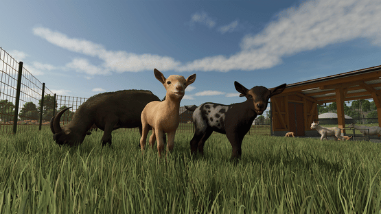 Farming Simulator 25: Highlands Fishing Edition Screenshot