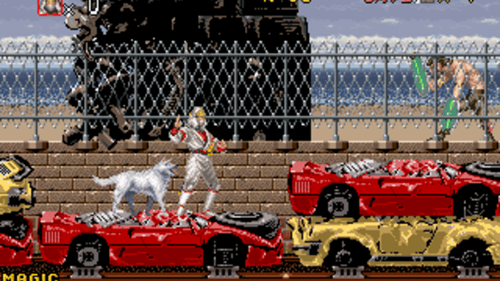 Shadow Dancer Screenshot