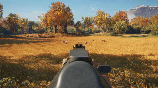 TheHunter: Call of the Wild - Rapid Hunt Rifle Pack Screenshot