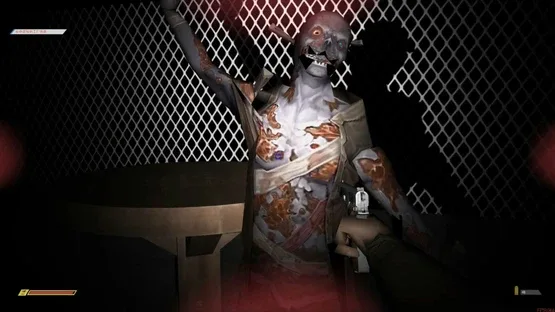 Thumbnail 22