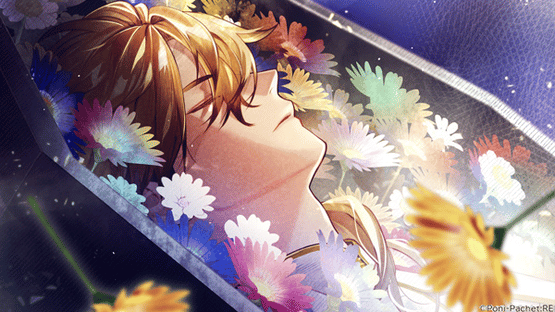 Kotou no Majo to Houtou Ouji Screenshot