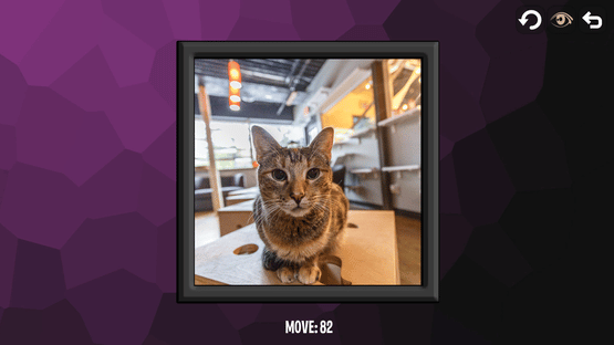 Intelligence: Cats Screenshot