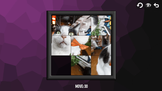 Intelligence: Cats Screenshot