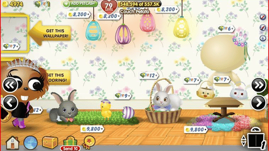 PetVille Screenshot