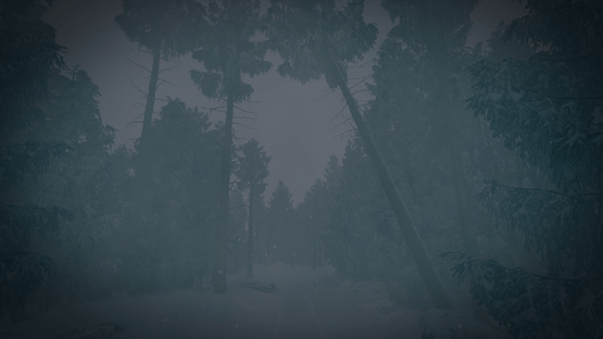 The Last Ski Trip Screenshot
