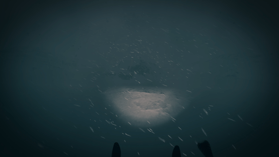 The Last Ski Trip Screenshot