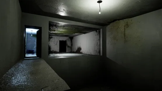 Schizophrenia: R.E.M. Protocol screenshot 1
