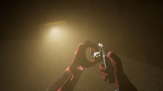 Schizophrenia: R.E.M. Protocol screenshot 5