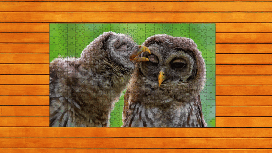 Whispers of Wings Jigsaw Puzzles: Expansion Pack 4 Screenshot