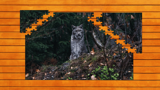 Wild Lynx Jigsaw: Expansion Pack 1 Screenshot