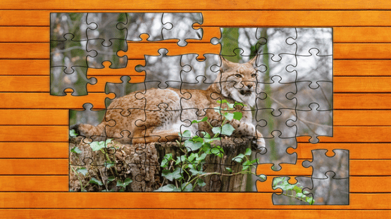 Wild Lynx Jigsaw: Expansion Pack 1 Screenshot