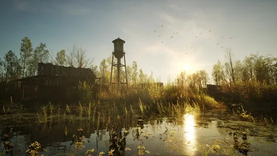 Forest Doesn’t Care screenshot 1