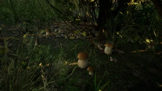 Forest Doesn’t Care screenshot 3