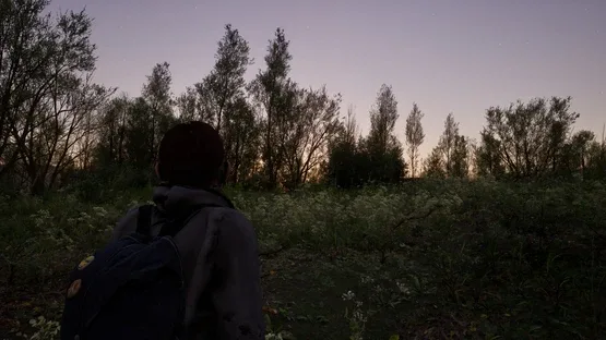 Forest Doesn’t Care screenshot 6