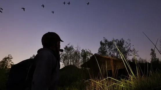 Forest Doesn’t Care screenshot 7