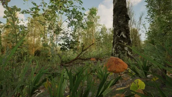 Forest Doesn’t Care screenshot 8