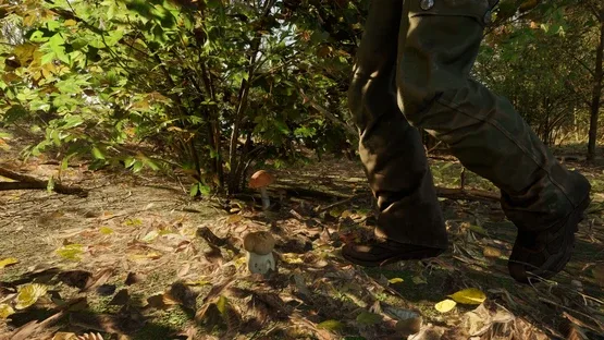 Forest Doesn’t Care screenshot 11