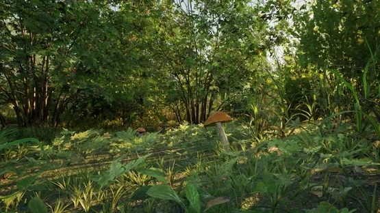 Forest Doesn’t Care screenshot 12