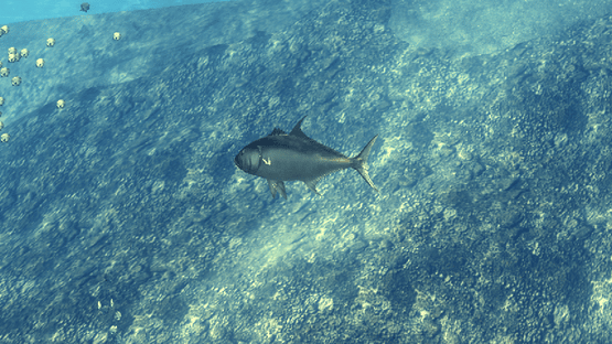 Depth Hunter Screenshot