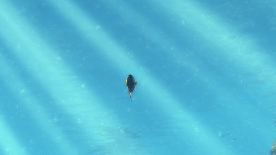 Depth Hunter Screenshot