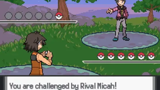 Thumbnail 13