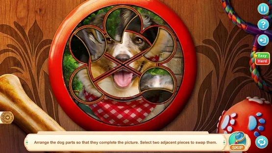 Home for Friends: Beloved Pets - Collector's Edition screenshot 2