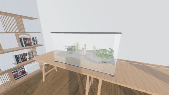 Decoration background