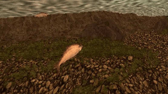 Reel Fishing: The Great Outdoors Screenshot
