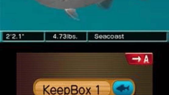 Reel Fishing Paradise 3D Screenshot