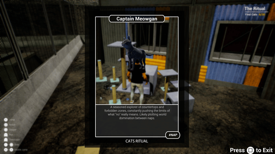 Cats Ritual Screenshot