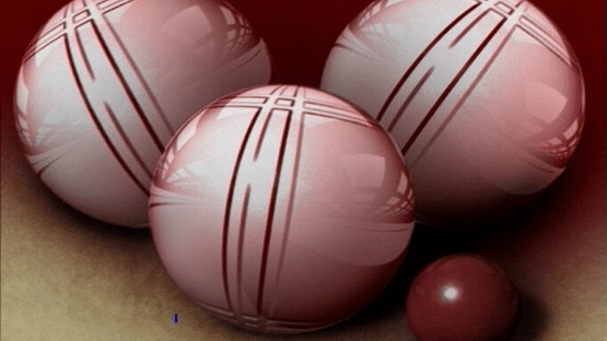 Petanque Pro Screenshot