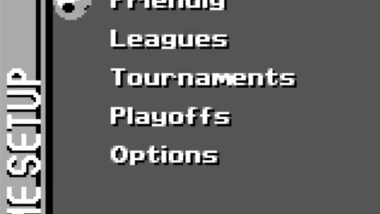 FIFA Soccer 96 Screenshot