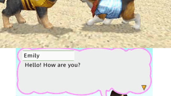 Petz Beach Screenshot
