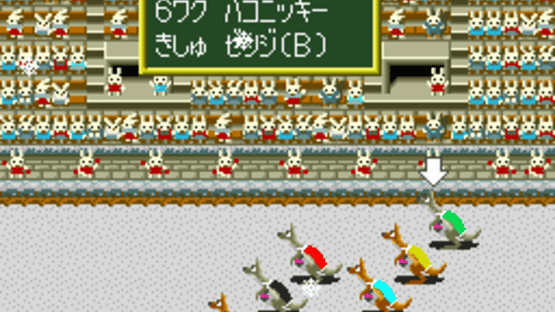 Wallaby!! Usagi no Kuni no Kangaroo Race Screenshot