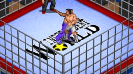 Fire Pro Wrestling G Screenshot