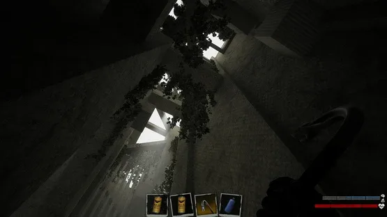 Thumbnail 12